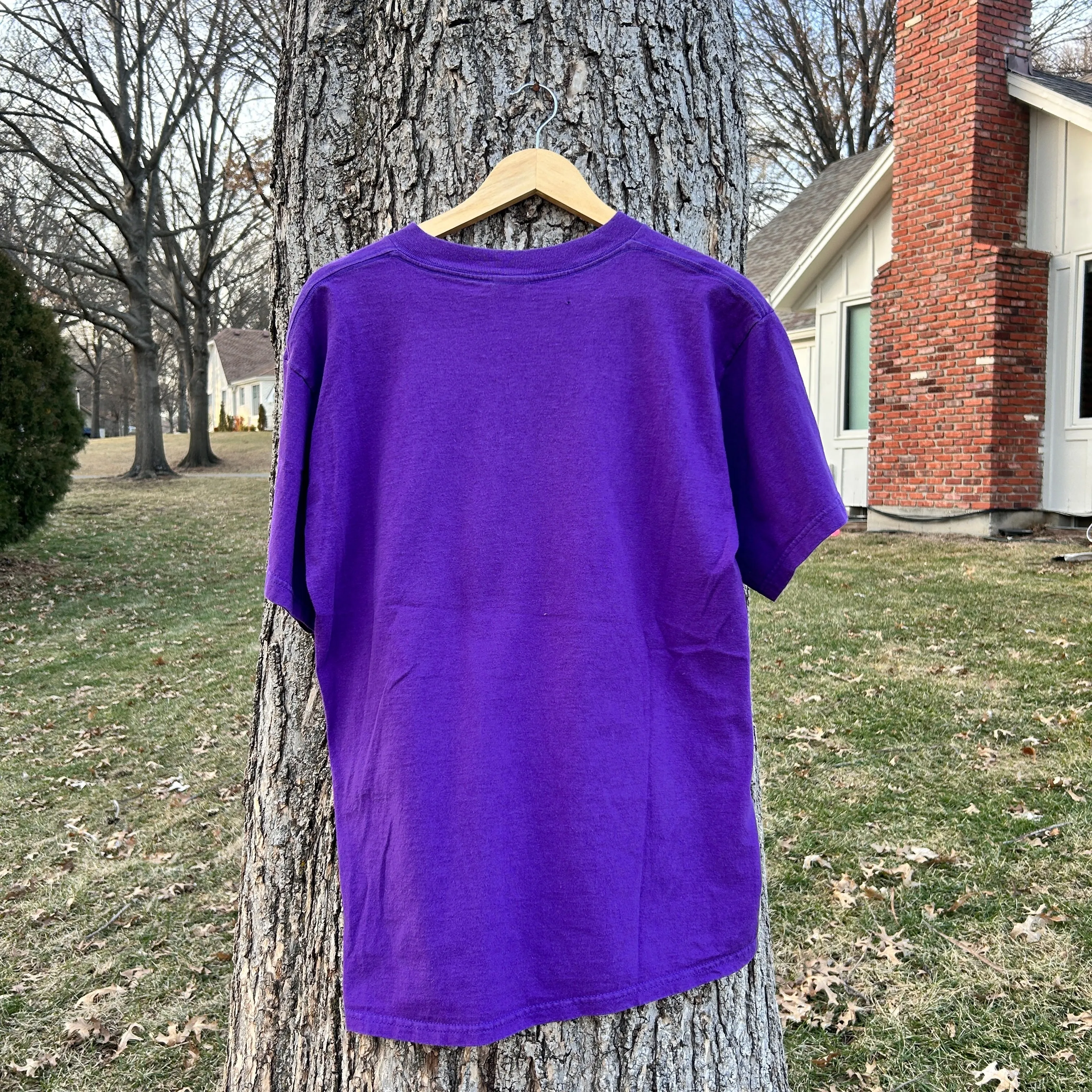 1997 Arizona Diamondbacks Purple vintage t-shirt (M)
