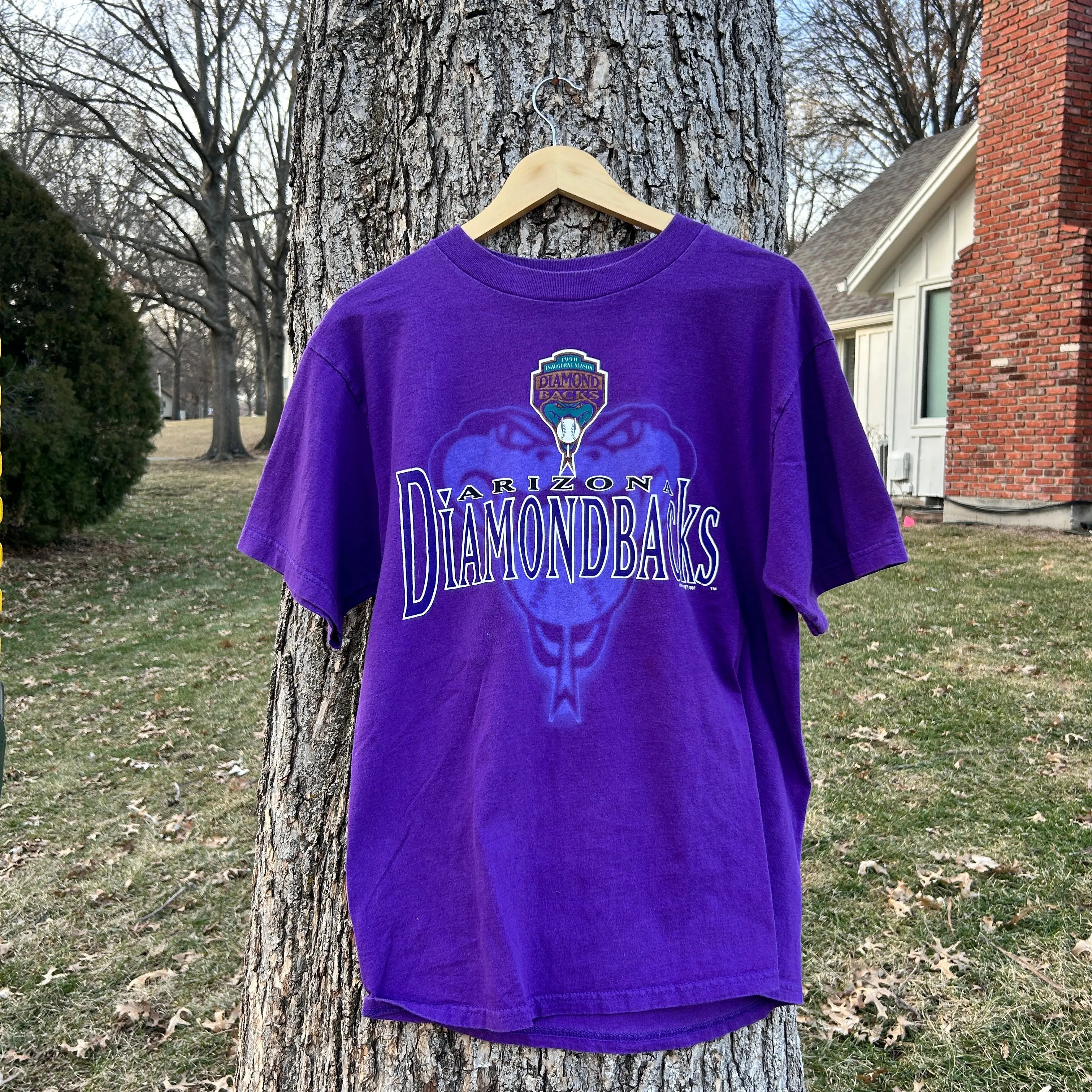 1997 Arizona Diamondbacks Purple vintage t-shirt (M)