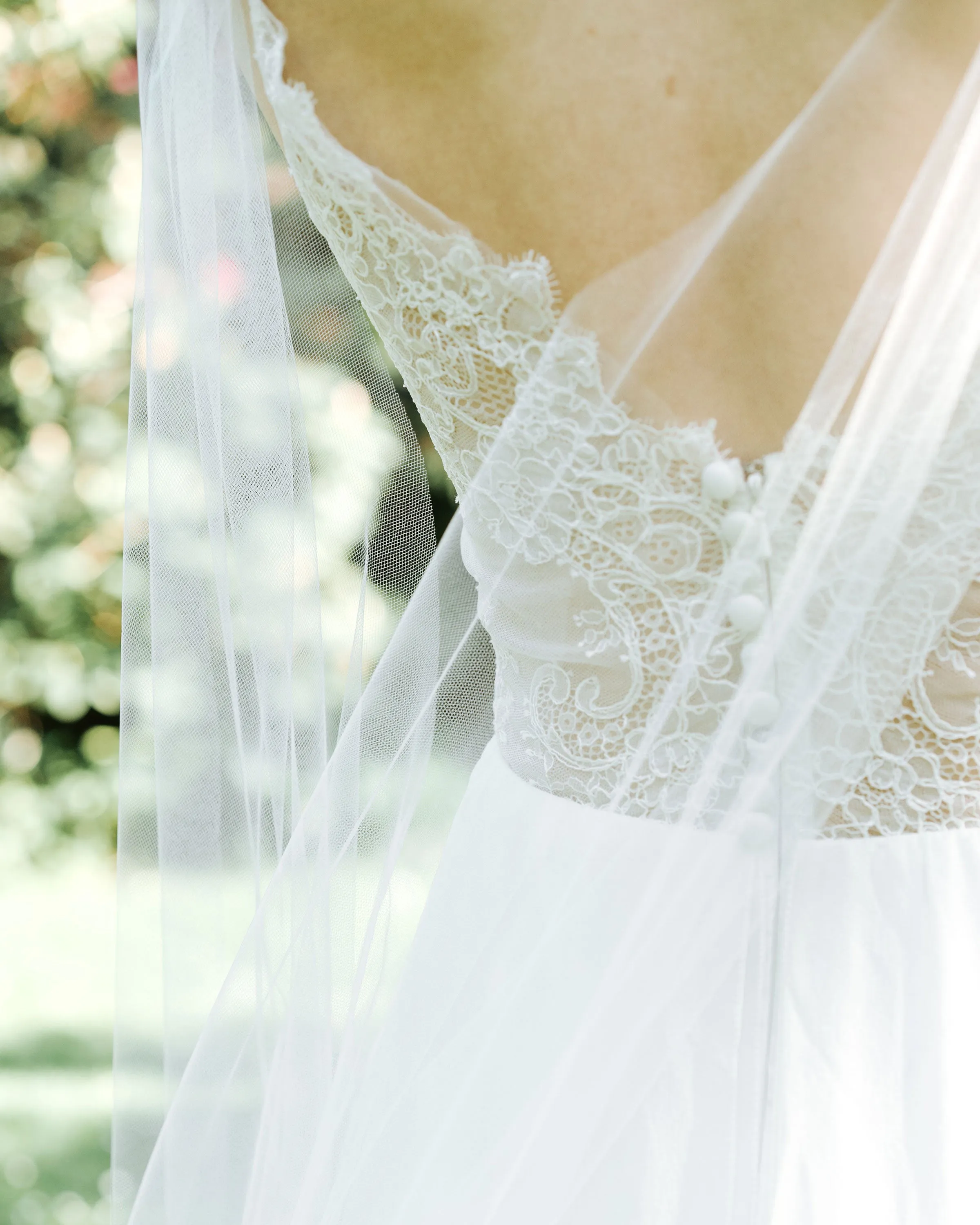 Aster Cape Veil