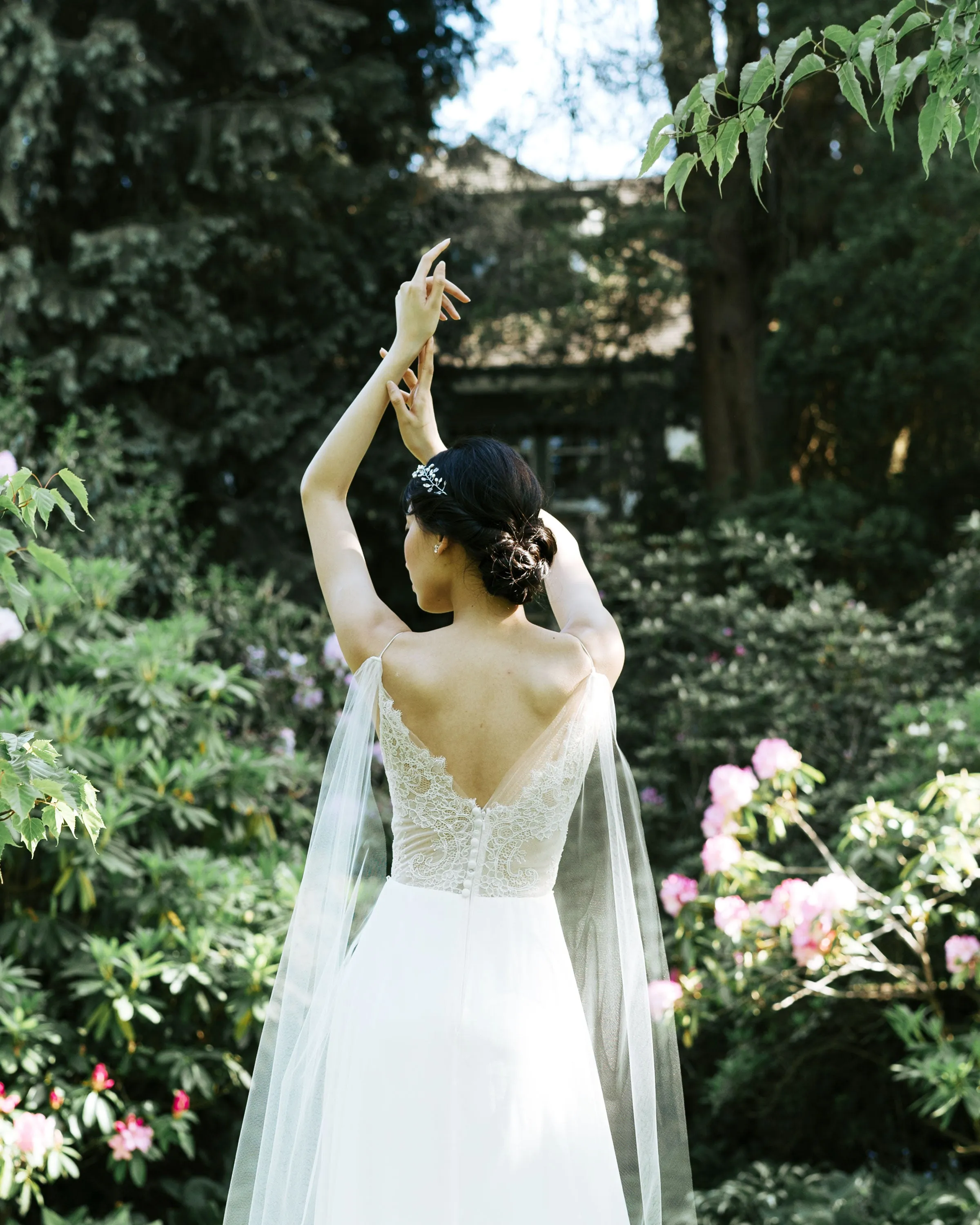 Aster Cape Veil