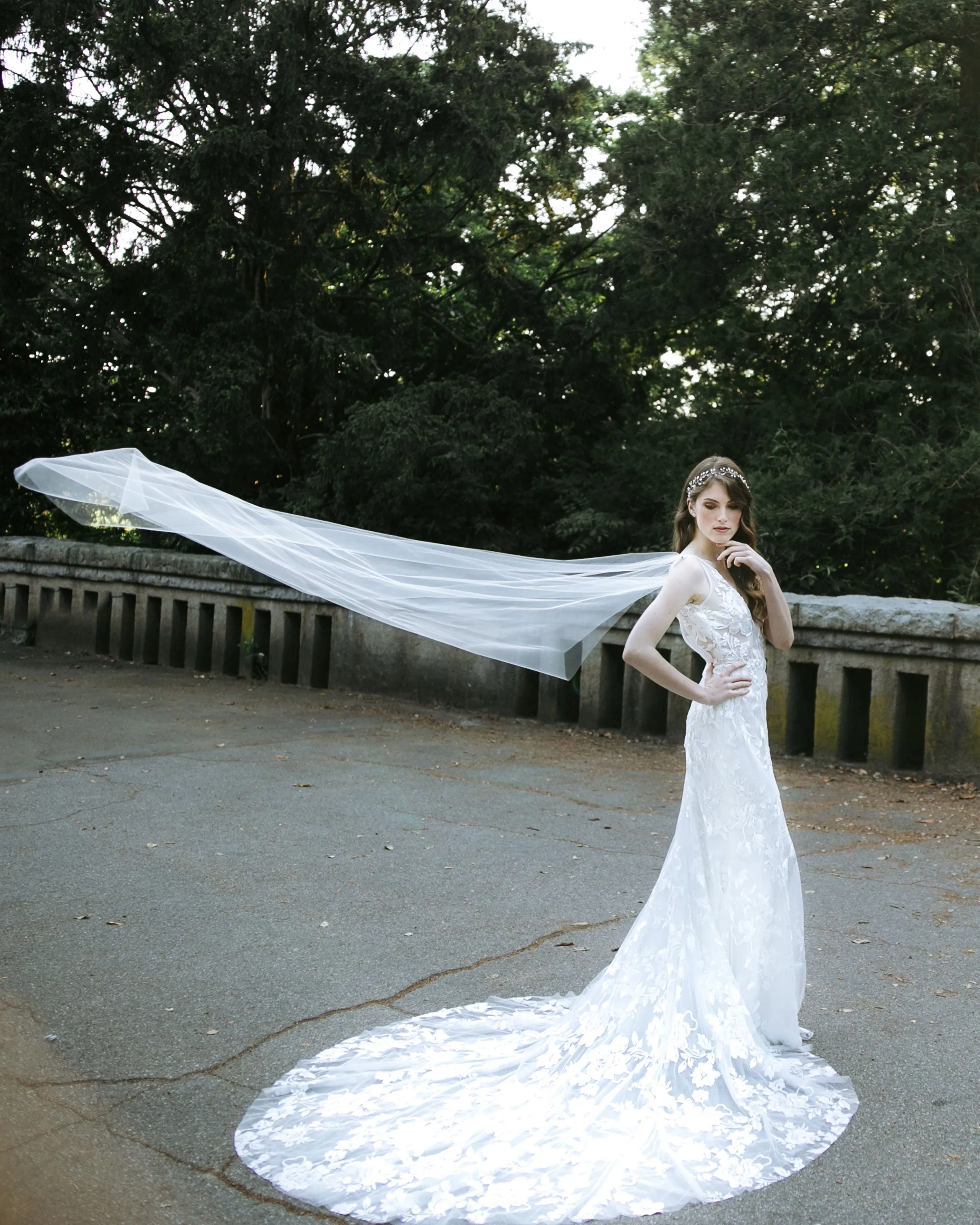 Aster Cape Veil
