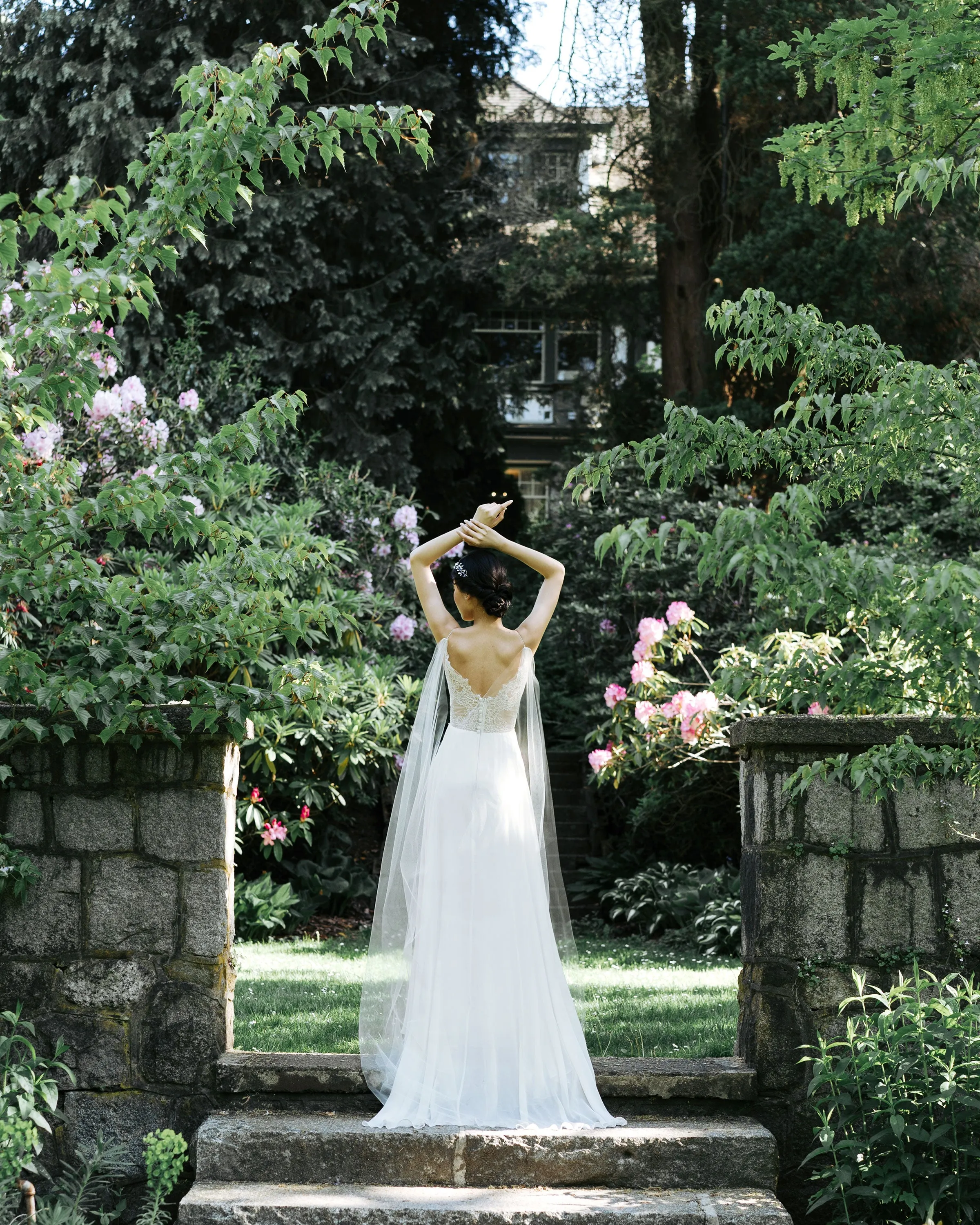 Aster Cape Veil