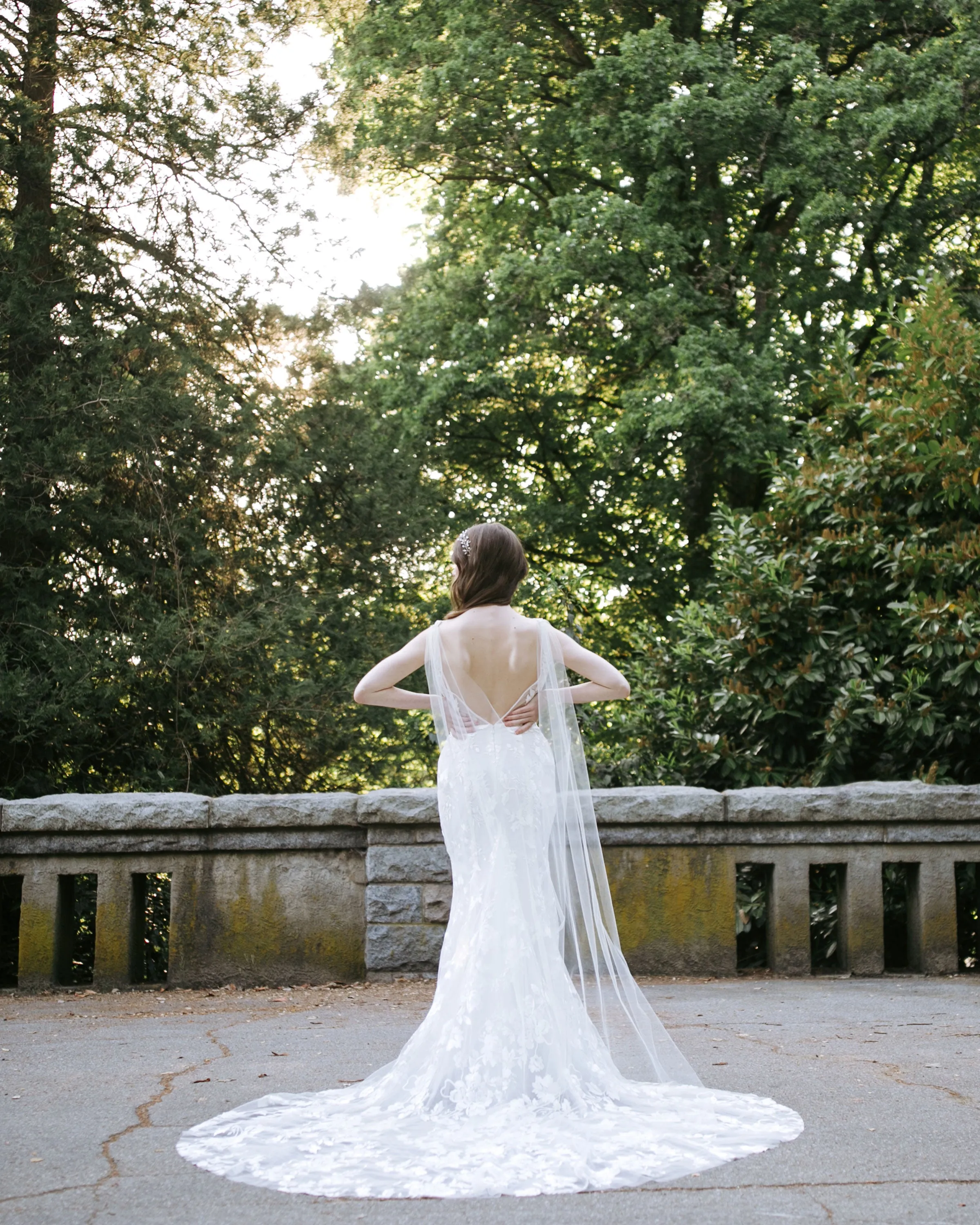 Aster Cape Veil