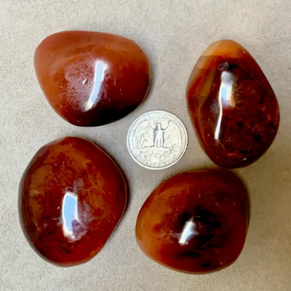 Carnelian Polished Palmstone