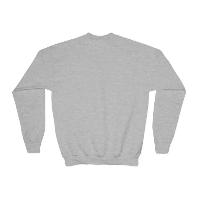Crazy Cat Youth Sweatshirt for Playful Kids