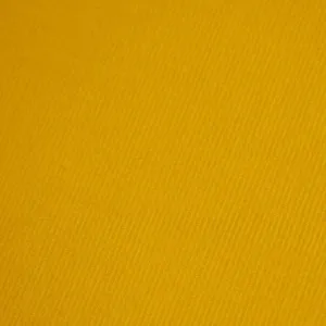 Dashwood Studio - Corduroy - 21 Whale - Gold