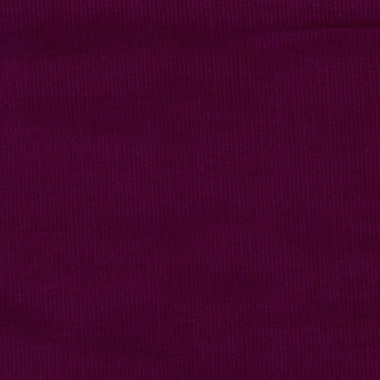 Dashwood Studio - Corduroy - 21 Whale - Wine