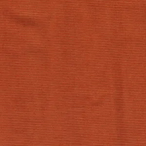 Dashwood Studio - Corduroy Stretch - 21 Whale - Ginger