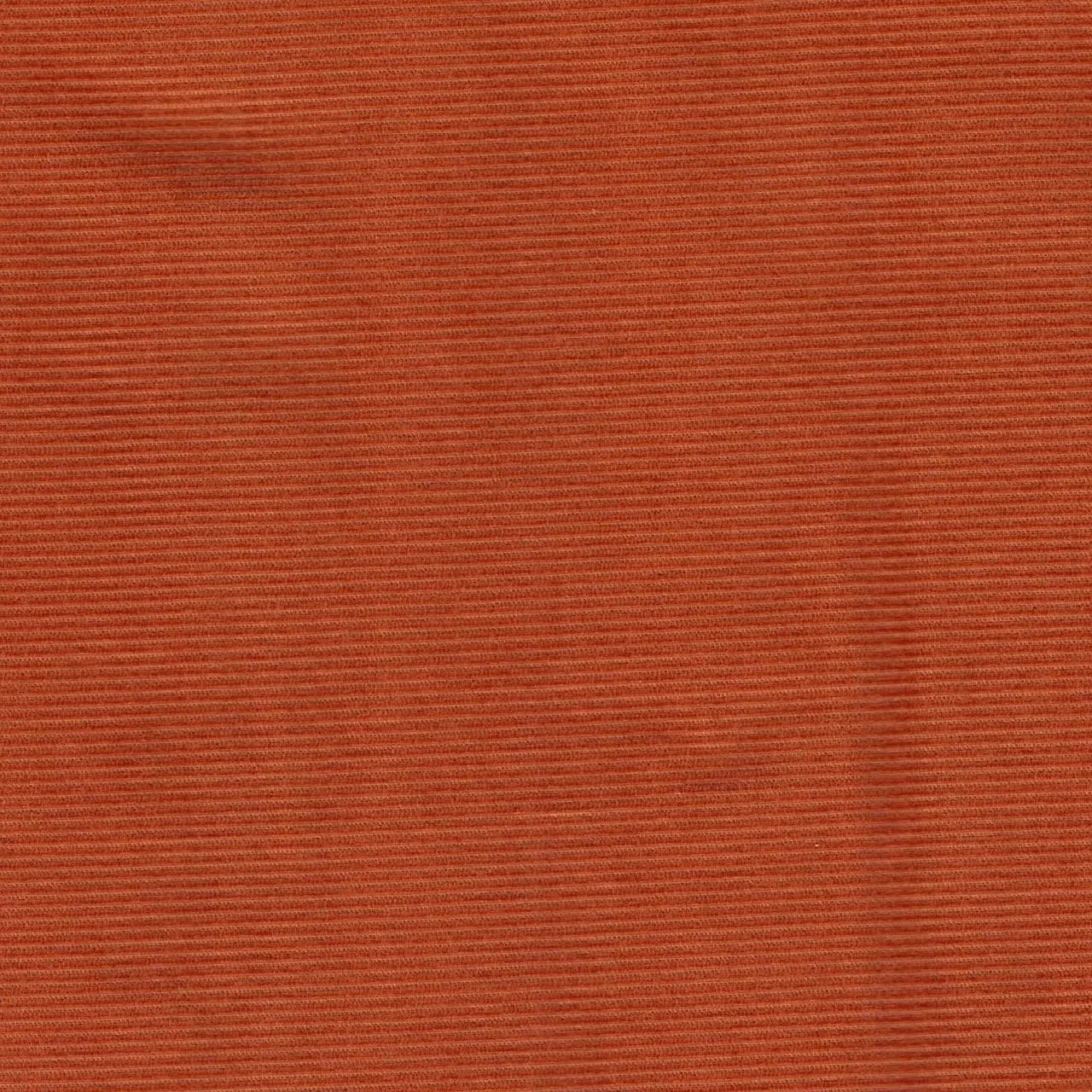 Dashwood Studio - Corduroy Stretch - 21 Whale - Ginger