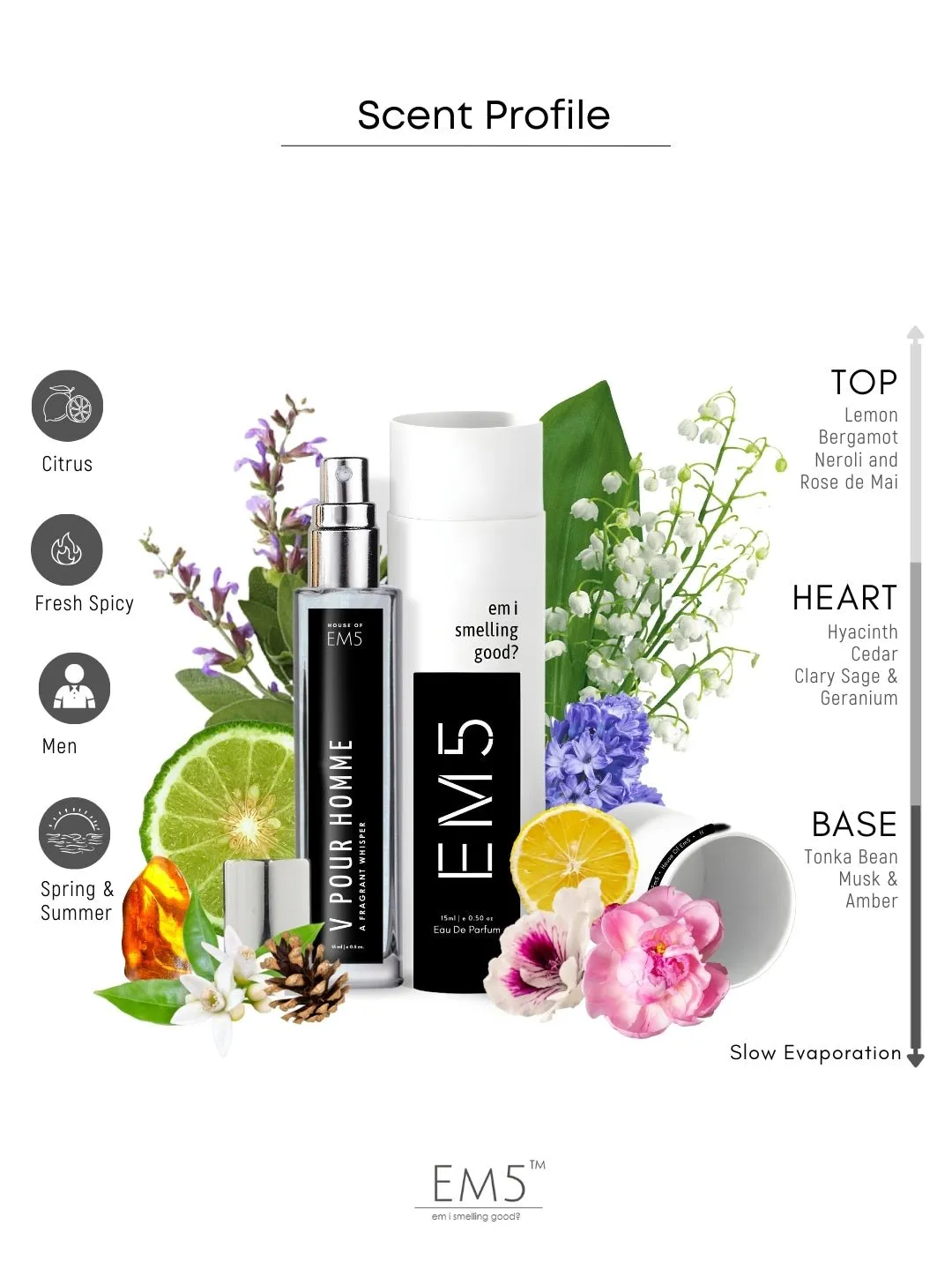 EM5™ V Pour Homme Perfume for Men | Eau De Parfum Spray | Citrus Aromatic Fresh Spicy Fragrance Accords | Luxury Gift for Him | Sizes Available: 50 ml / 15 ml