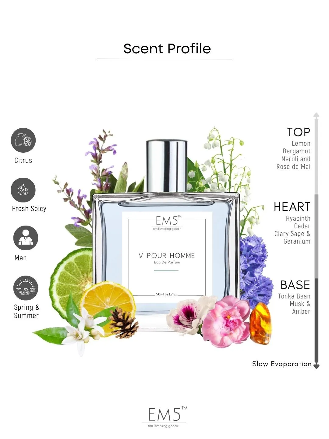 EM5™ V Pour Homme Perfume for Men | Eau De Parfum Spray | Citrus Aromatic Fresh Spicy Fragrance Accords | Luxury Gift for Him | Sizes Available: 50 ml / 15 ml