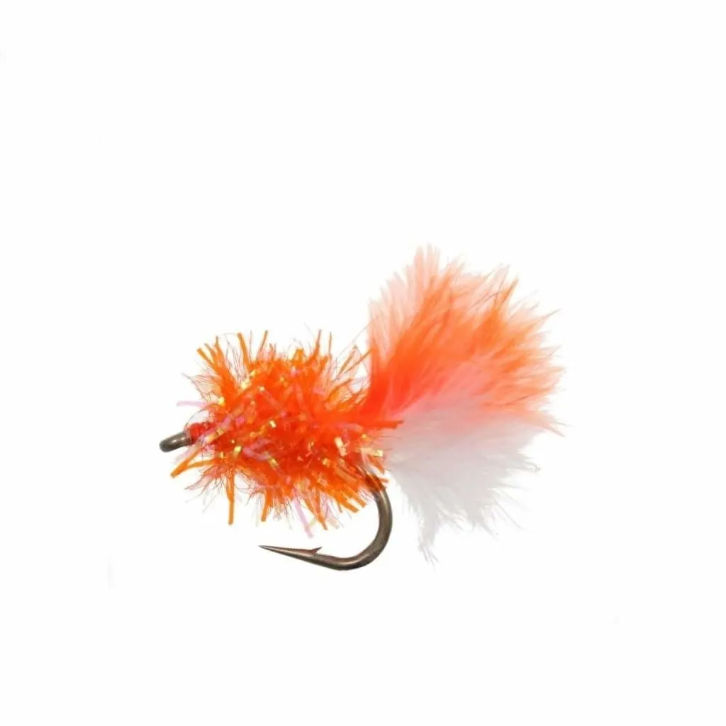 Flyz Inc Blob