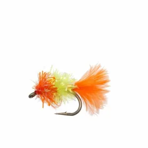 Flyz Inc Blob