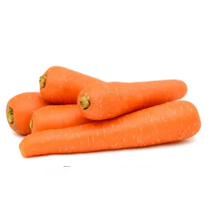 FRESH CARROTS