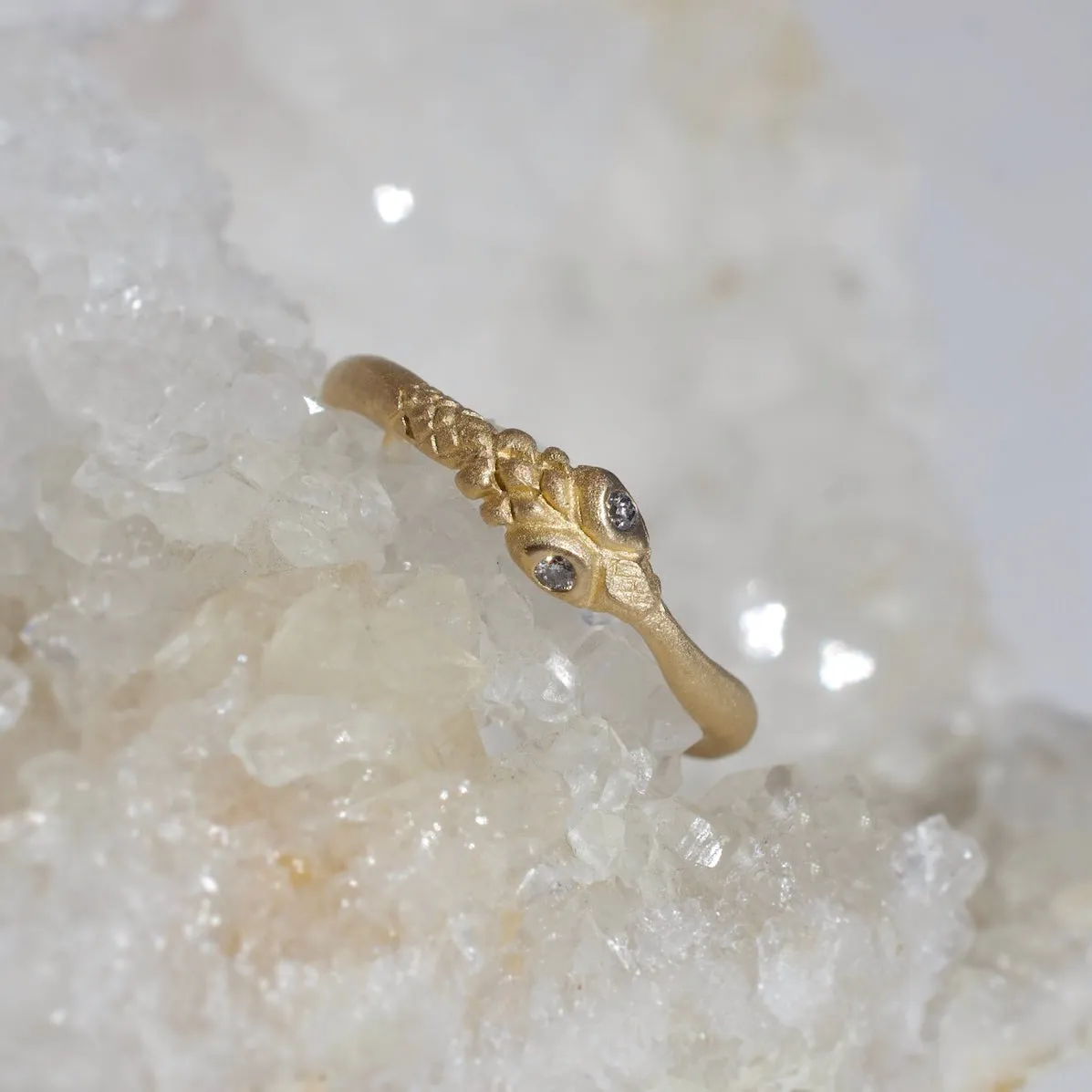 Guardian Ring