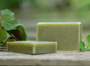 Mountain Fresh Mint