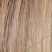 ON IN 10! - Wig by Raquel Welch