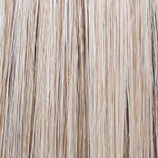 ON IN 10! - Wig by Raquel Welch