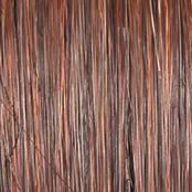 ON IN 10! - Wig by Raquel Welch