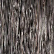 ON IN 10! - Wig by Raquel Welch