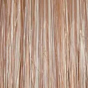 ON IN 10! - Wig by Raquel Welch
