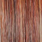 ON IN 10! - Wig by Raquel Welch