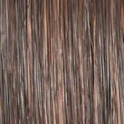 ON IN 10! - Wig by Raquel Welch