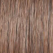 ON IN 10! - Wig by Raquel Welch