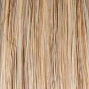 ON IN 10! - Wig by Raquel Welch