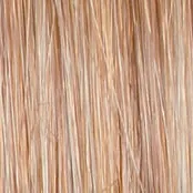 ON IN 10! - Wig by Raquel Welch