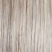 ON IN 10! - Wig by Raquel Welch