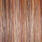 ON IN 10! - Wig by Raquel Welch
