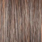 ON IN 10! - Wig by Raquel Welch
