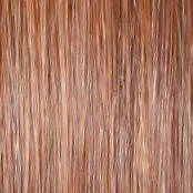 ON IN 10! - Wig by Raquel Welch
