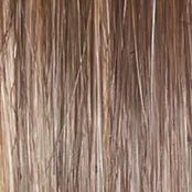 ON IN 10! - Wig by Raquel Welch