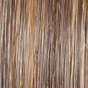 ON IN 10! - Wig by Raquel Welch
