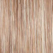 ON IN 10! - Wig by Raquel Welch
