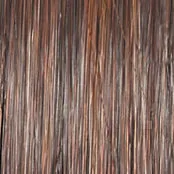 ON IN 10! - Wig by Raquel Welch