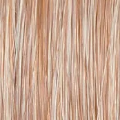 ON IN 10! - Wig by Raquel Welch
