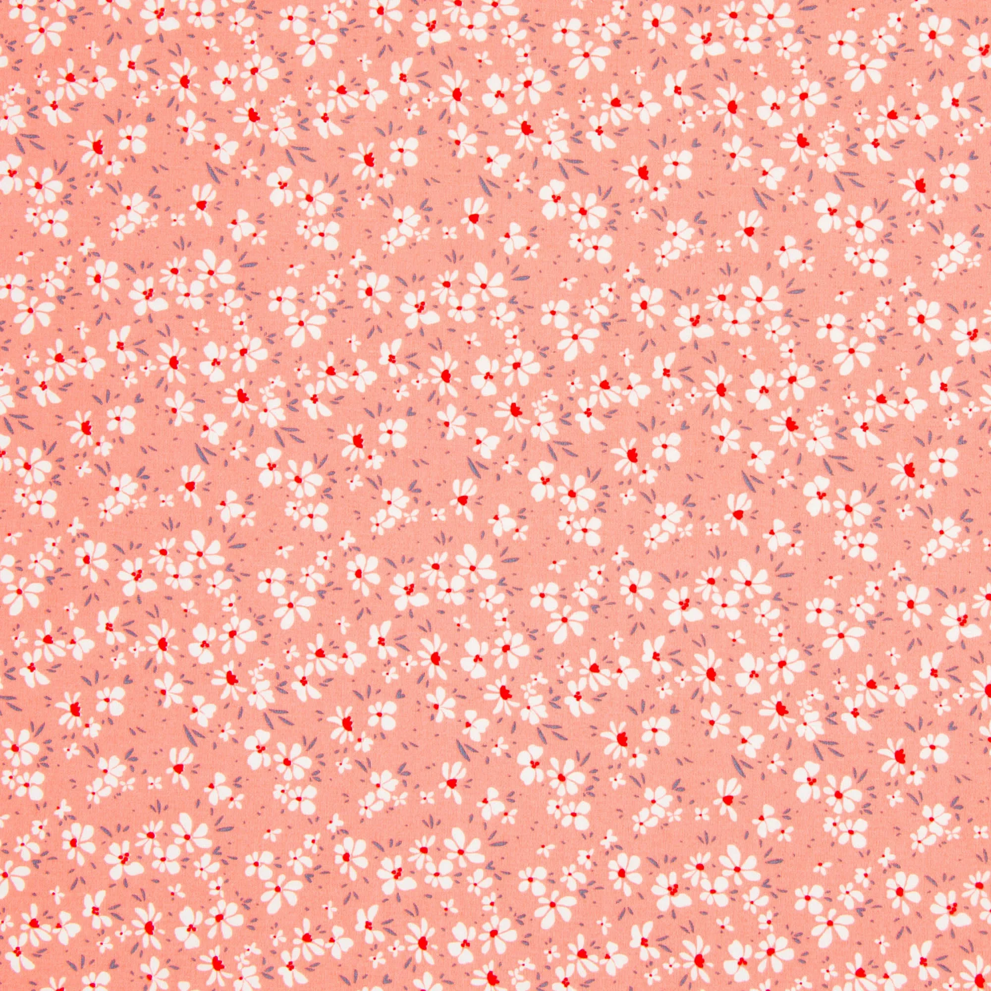 Printed Poplin Cotton 100% Des 10