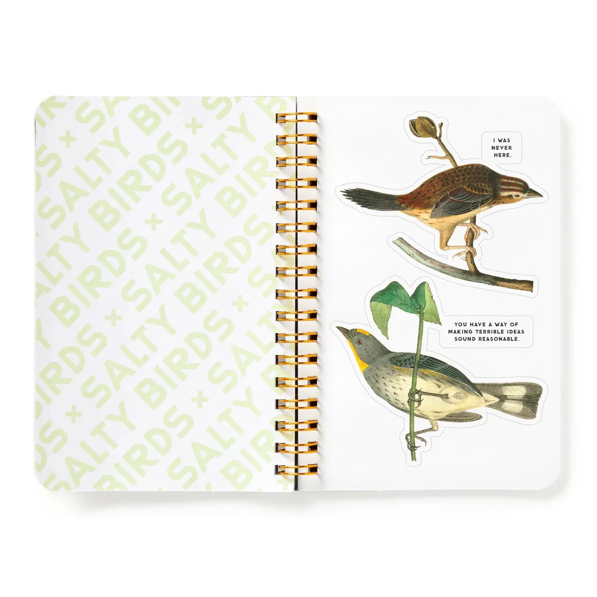 Salty Birds Sticker Book