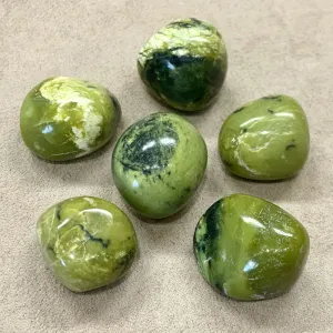 Serpentine Polished Pebble