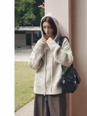 Textured Knit Hooded Sweater